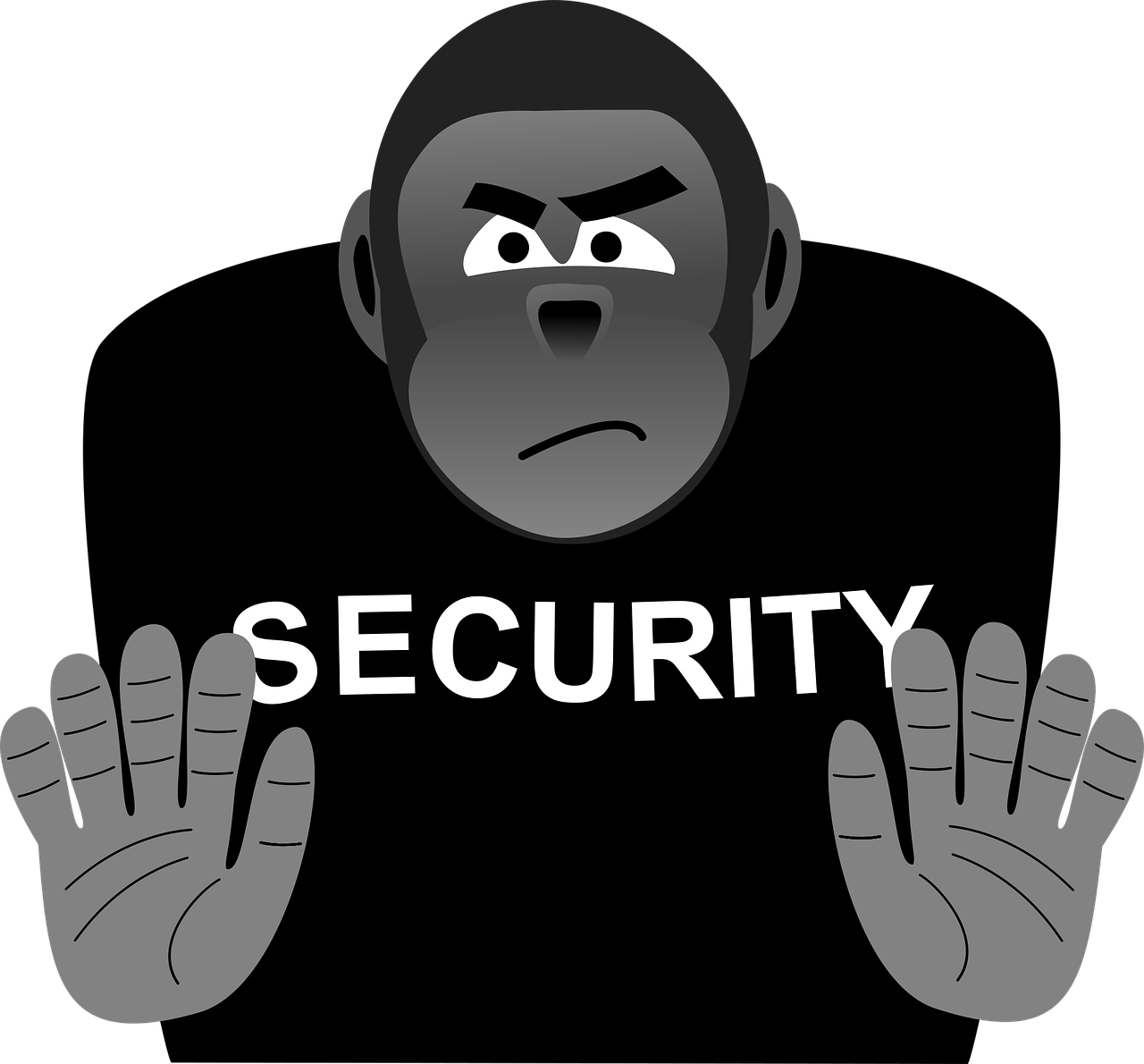 security-1365599_1280.png